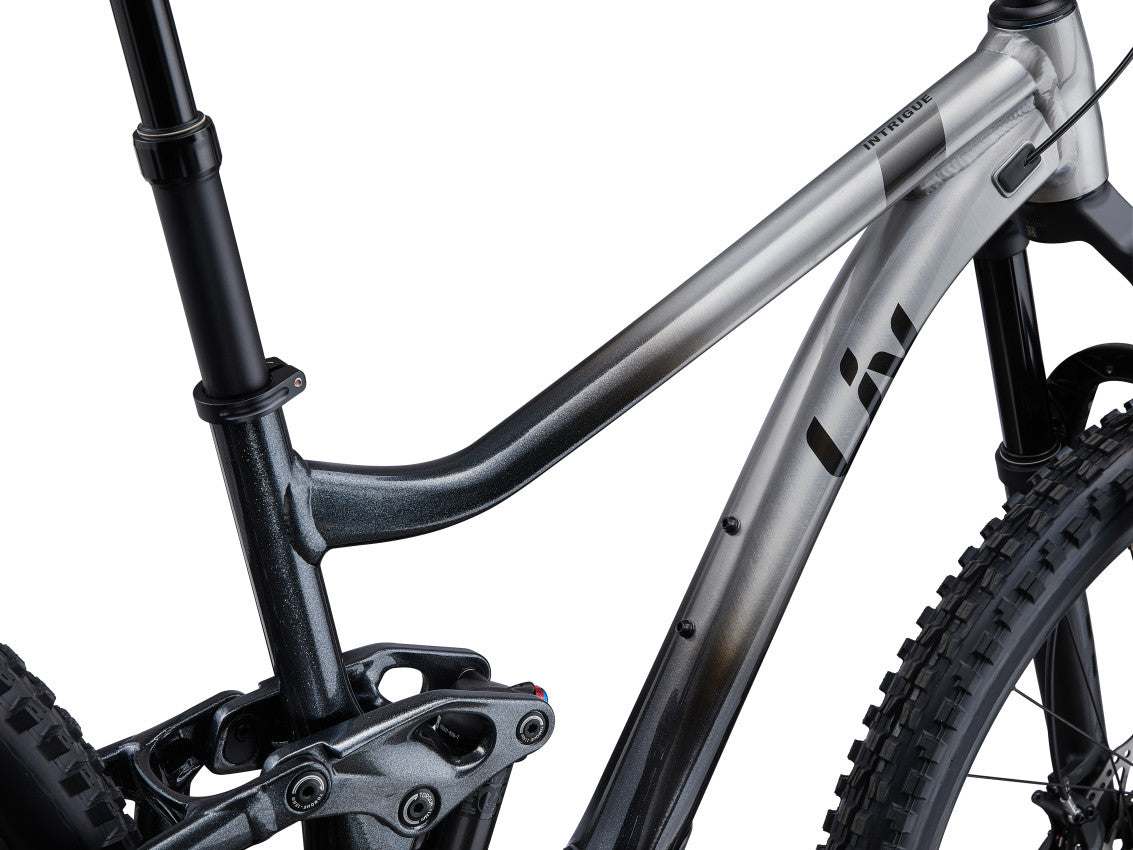 Image 3 of 5 - Intrigue 29 1