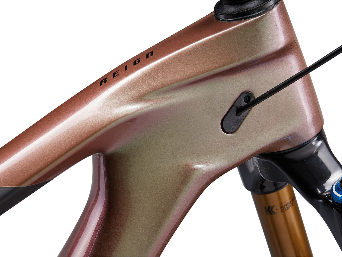 Image 14 of 17 - MY23 Reign Advanced Pro 0 Color A_MTB-12