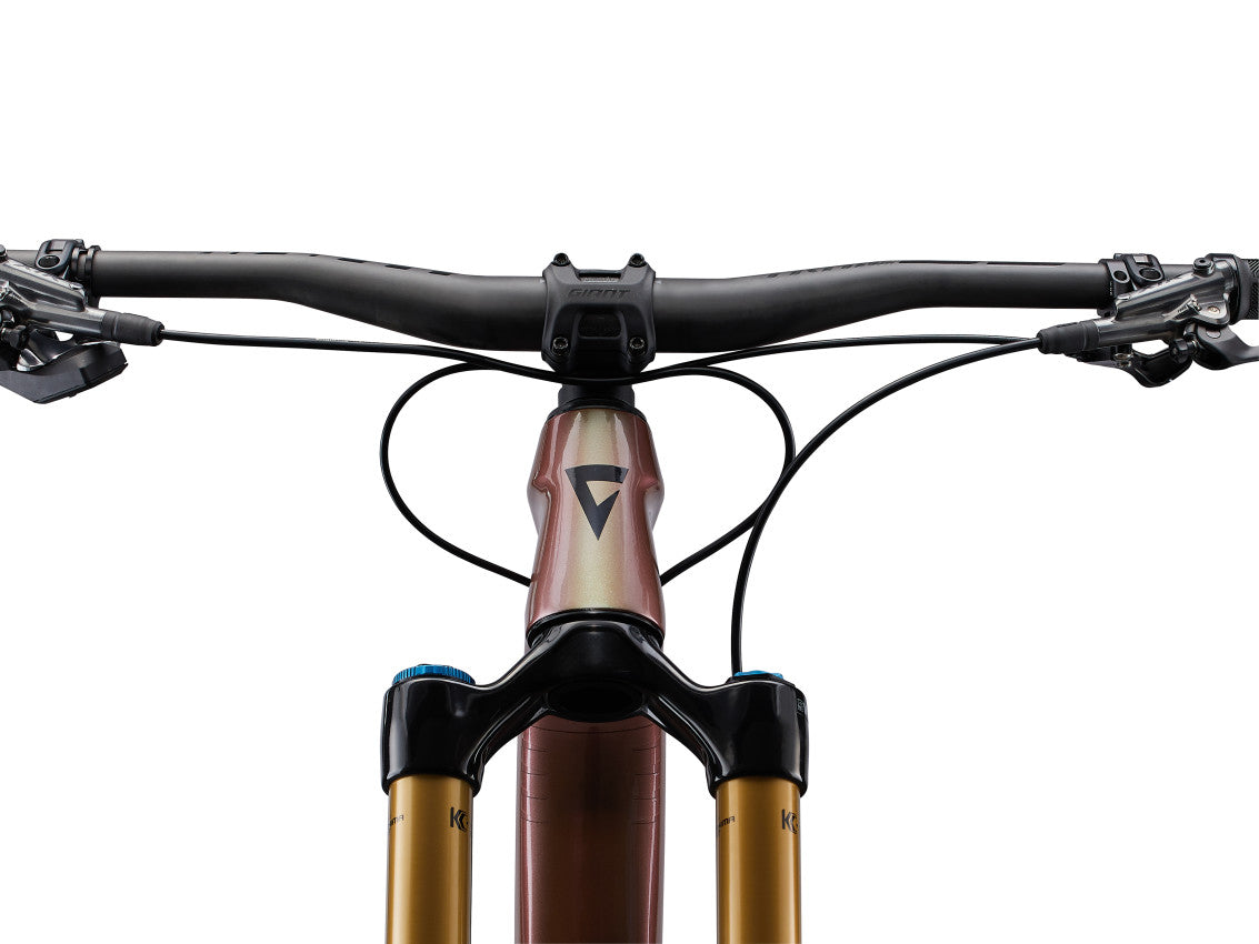 Image 15 of 17 - MY23 Reign Advanced Pro 0 Color A_Messier_Carbon_D_12-2