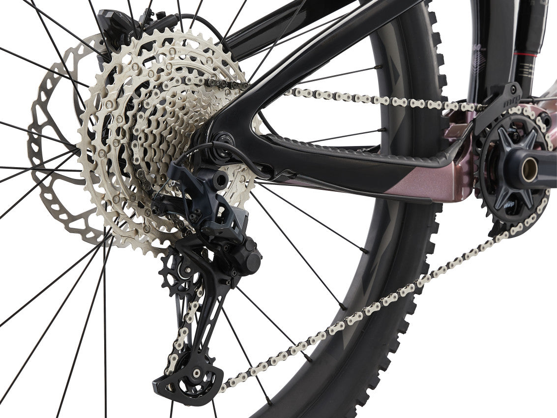 Reign Advanced Pro 2