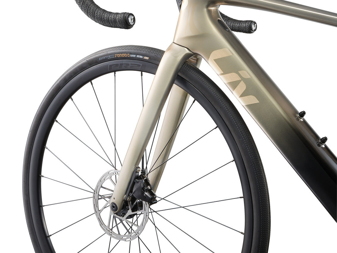 MY24 Avail Advanced E+ EL 2_Color A Golden Haze-D5