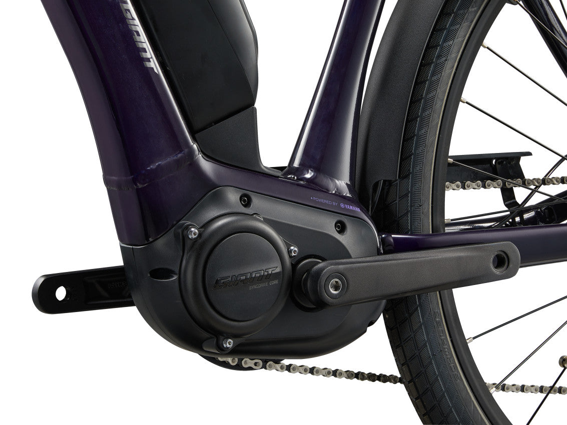 MY24 Expression E+ 2_Color A Black Currant-D2