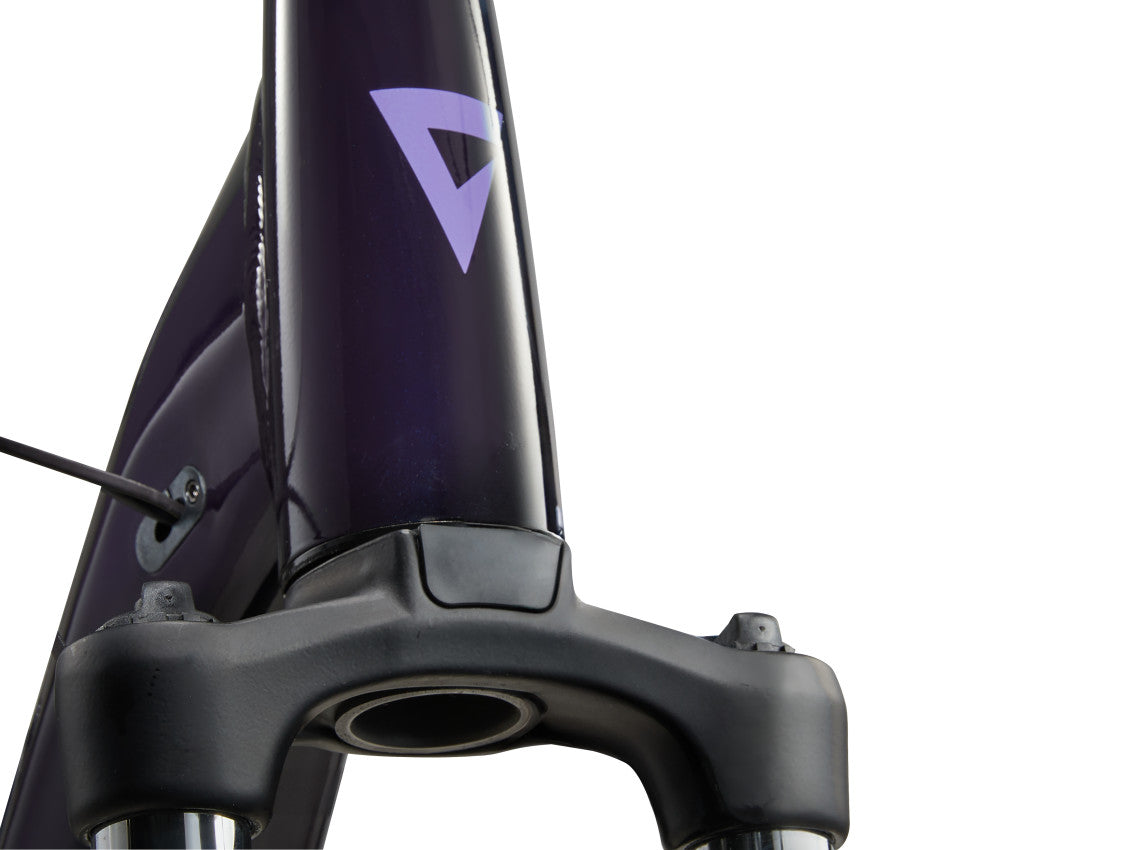 MY24 Expression E+ 2_Color A Black Currant-D5