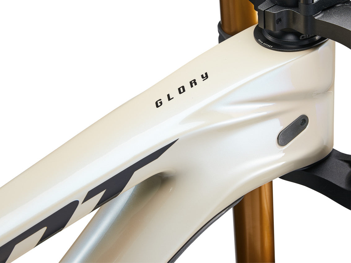 MY24 GLORY Advanced Color A_D-12-1