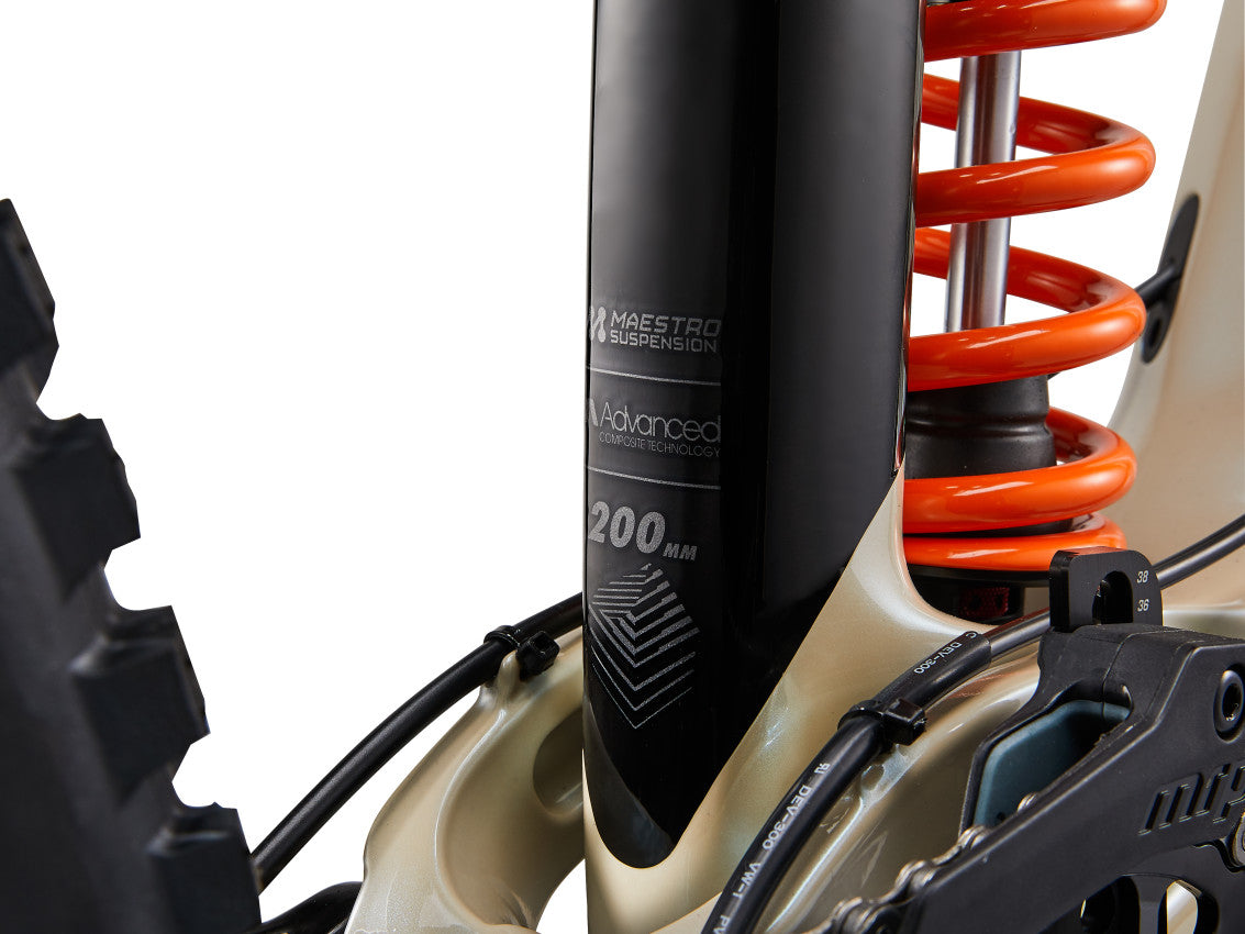 MY24 GLORY Advanced Color A_D-12-3