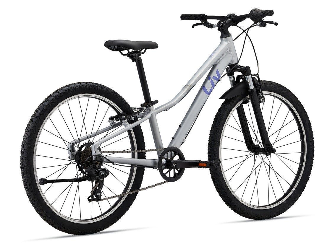 MY24 Tempt 24_Color A Silver_Rear