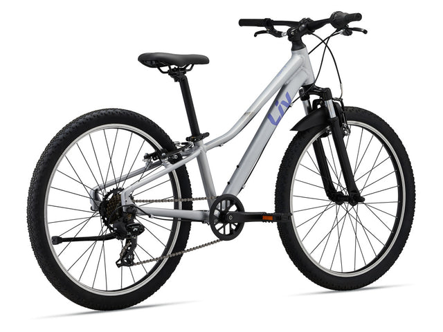 MY24 Tempt 24_Color A Silver_Rear