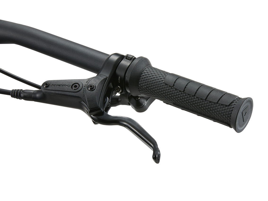 MY25 Faith-Liv_Color A Radiant Pink-D10