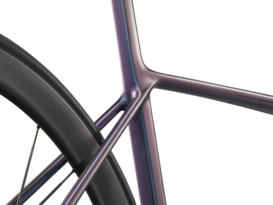 MY25 TCR Advanced SL 1_Color A Blue Dragonfly_Iris-D5