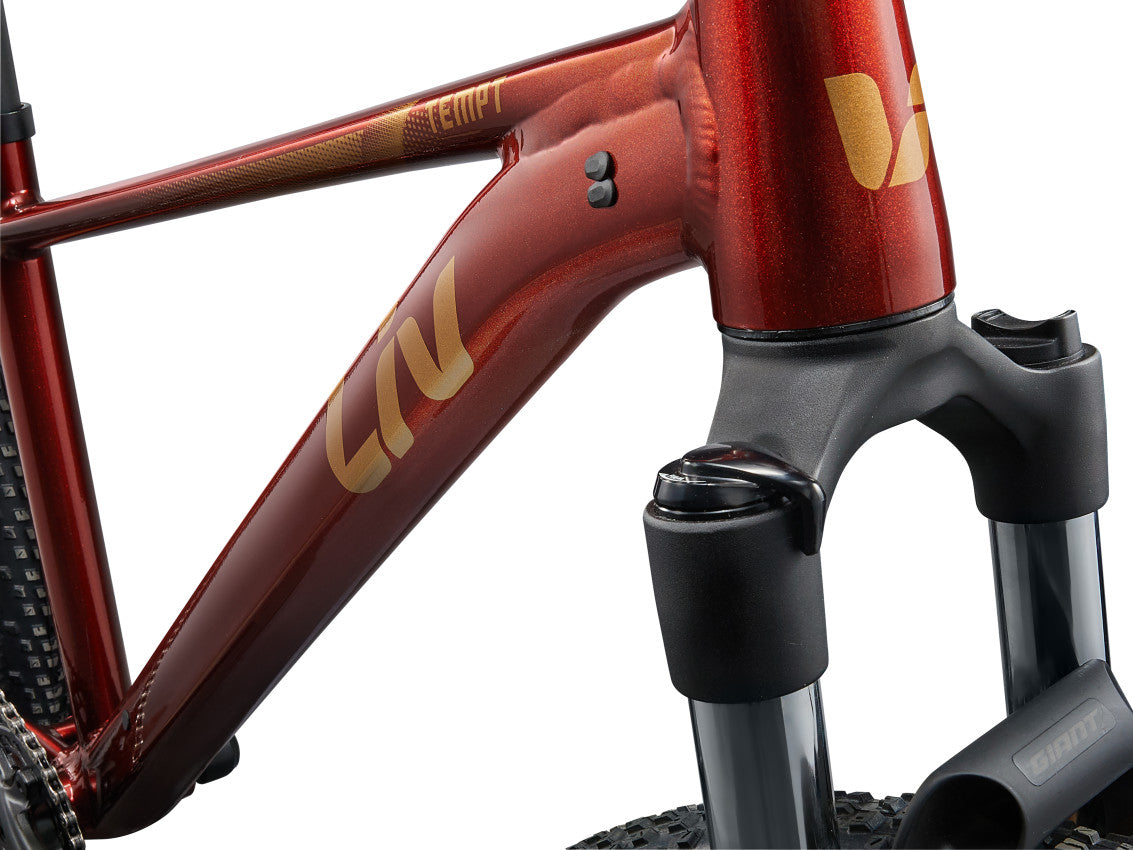 MY25 Tempt 29 2_Color A Mars Dust-D5