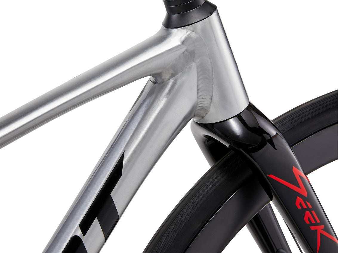 Image 7 of 25 - MY26Seek1-Giant_ColorA-D-3