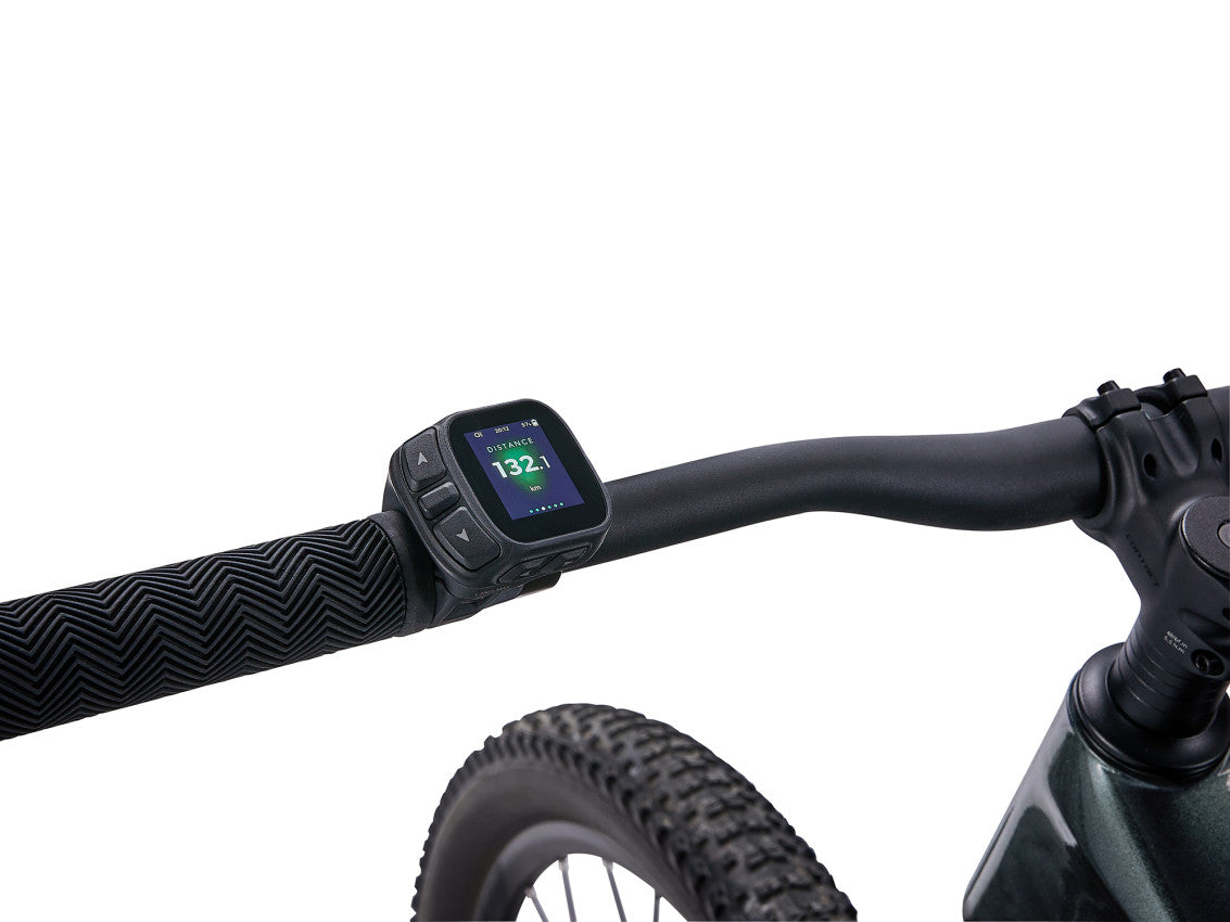 Image 11 of 12 - MY26TalonE_ColorA-D8