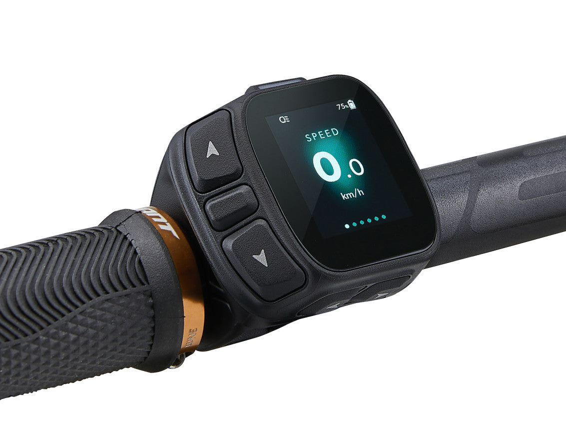 Image 11 of 12 - MY27StanceE0_ColorADeepLake_Black-D13