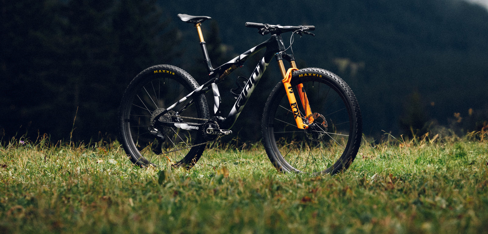 Mountain bike sale