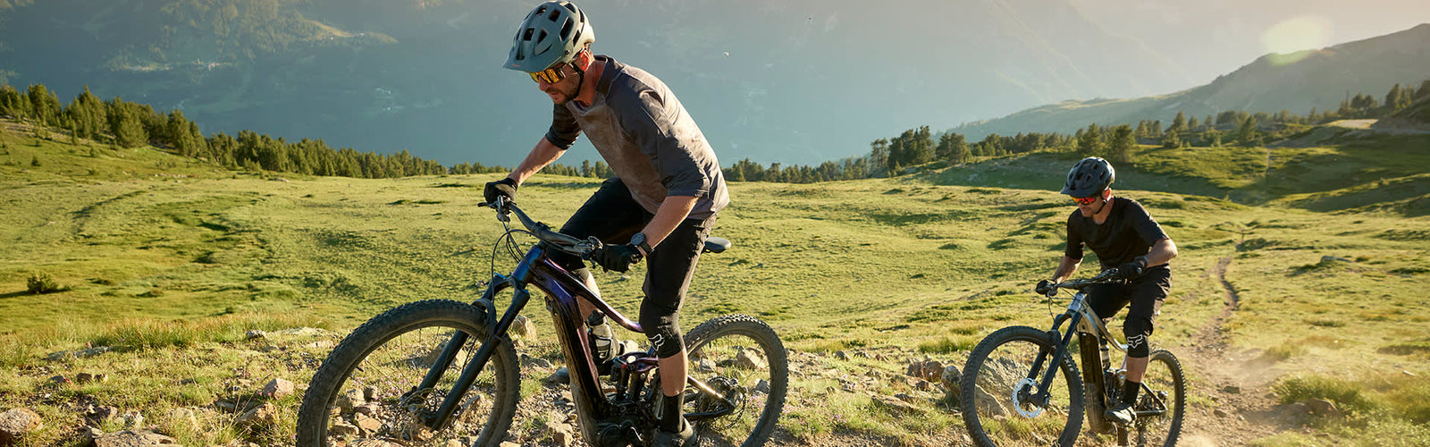 Mountain E-bikes