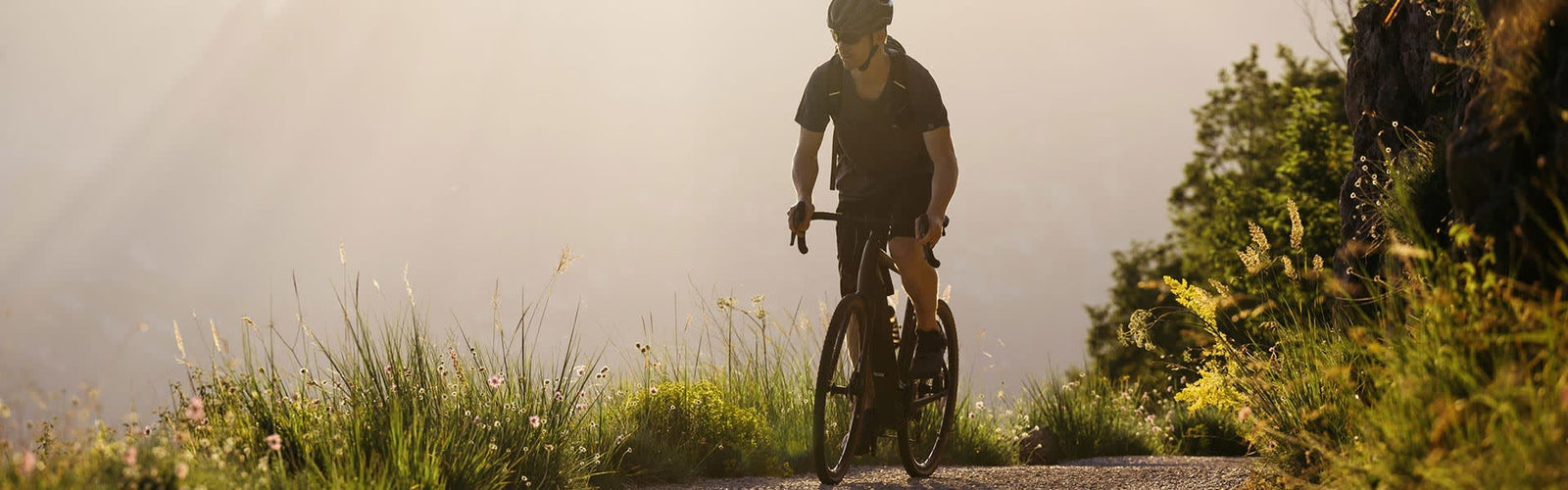 Electric Adventure Bikes