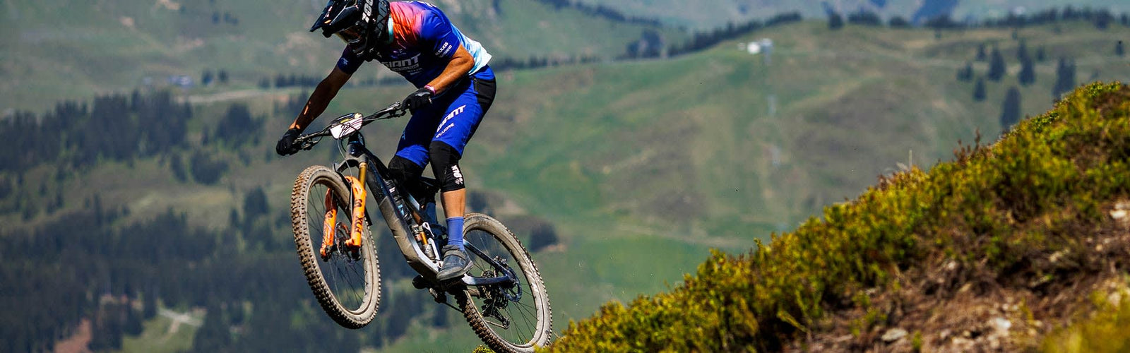 Mountain Bikes