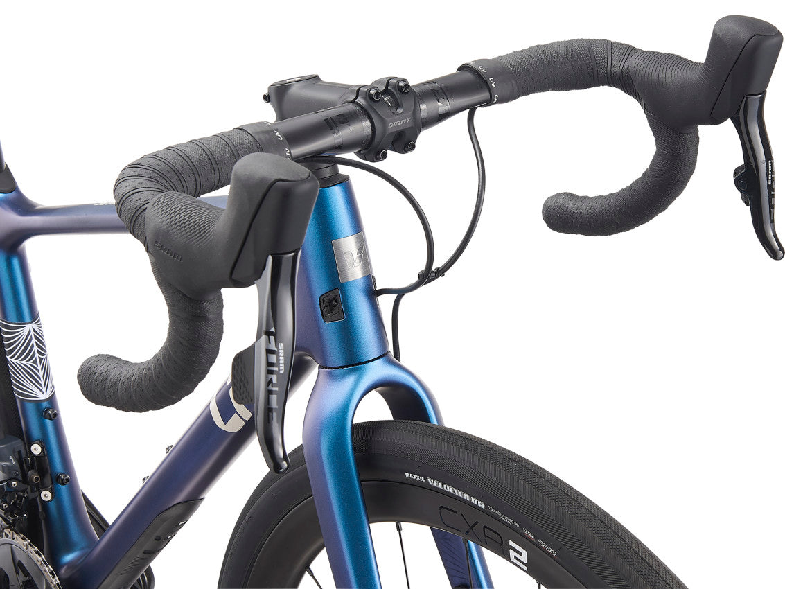 Image 5 of 9 - Chameleon Blue Detail 2