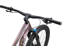 Image 4 of 10 - Intrigue Advanced Pro 29 2
