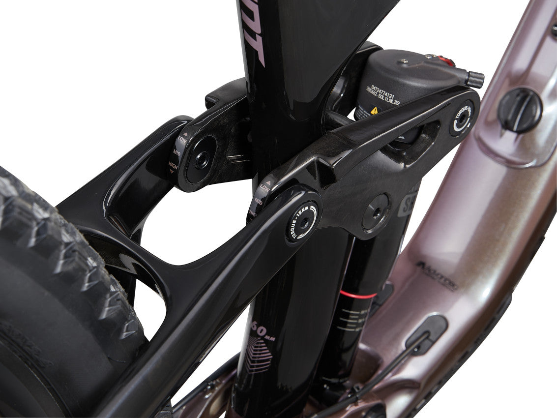  Reign Advanced Pro 2