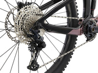  Reign Advanced Pro 2