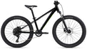 MY24 STP 24 FS-Giant_Color A Black