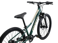 MY24 Talon 24 Disc_Color A Trekking Green-D2
