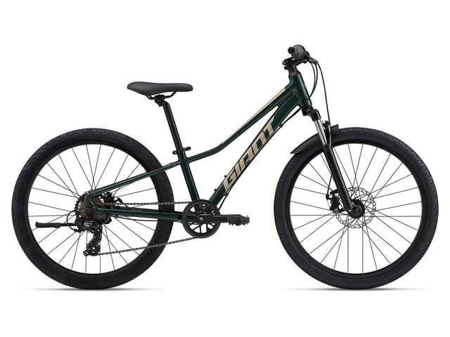 MY24 Talon 24 Disc_Color A Trekking Green