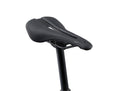  MY25 Anthem Advanced 29 1_Color A Raw Carbon-D9