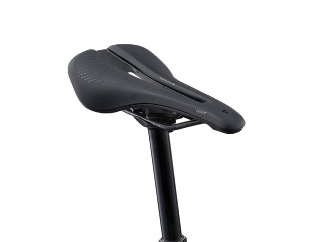 MY25 Anthem Advanced 29 1_Color A Raw Carbon-D9