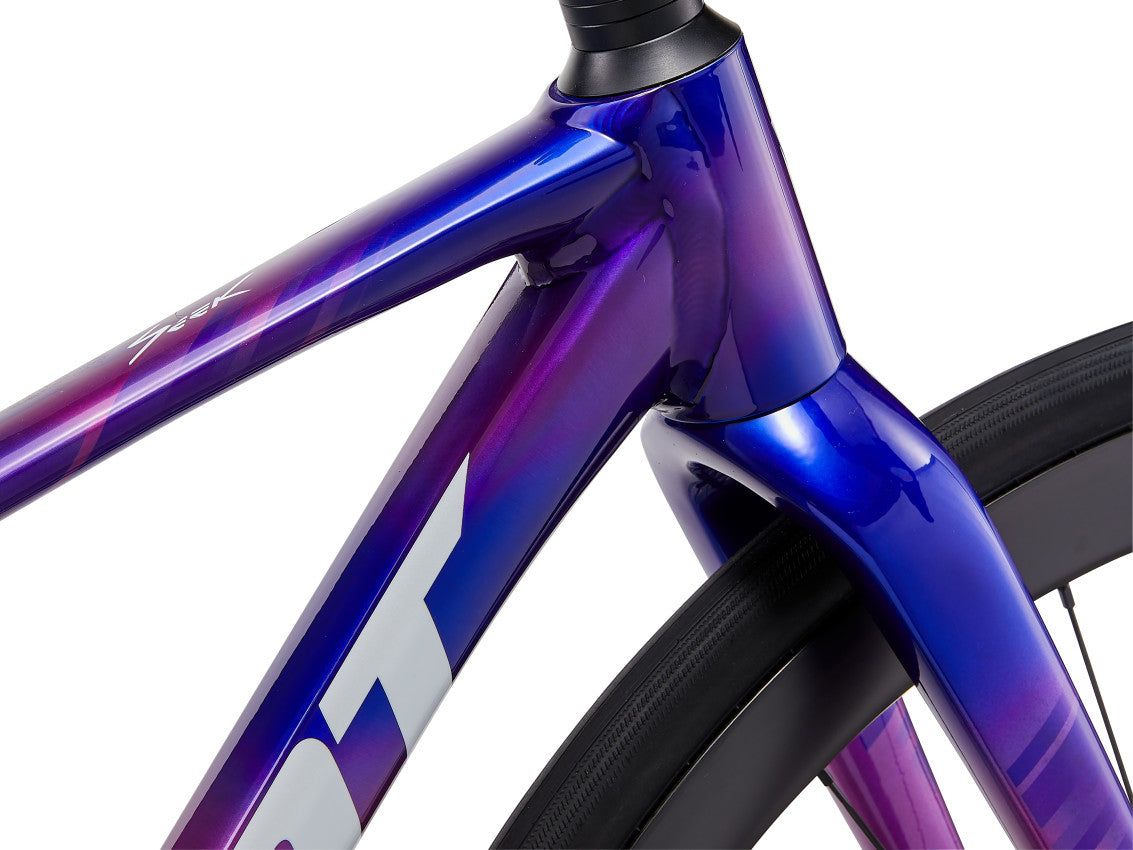 Image 22 of 25 - MY26Seek1-Giant_ColorCPurpleStormD-3