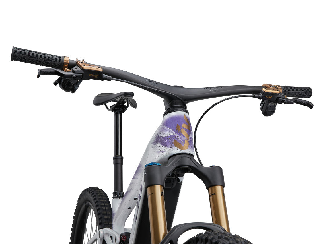 Image 17 of 18 - MY27IntrigueAdvancedE0_ColorAColorA-D-14