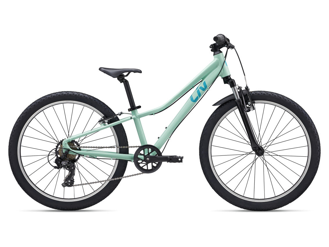 Image 1 of 1 - MY27Tempt24_ColorAPaleEmerald